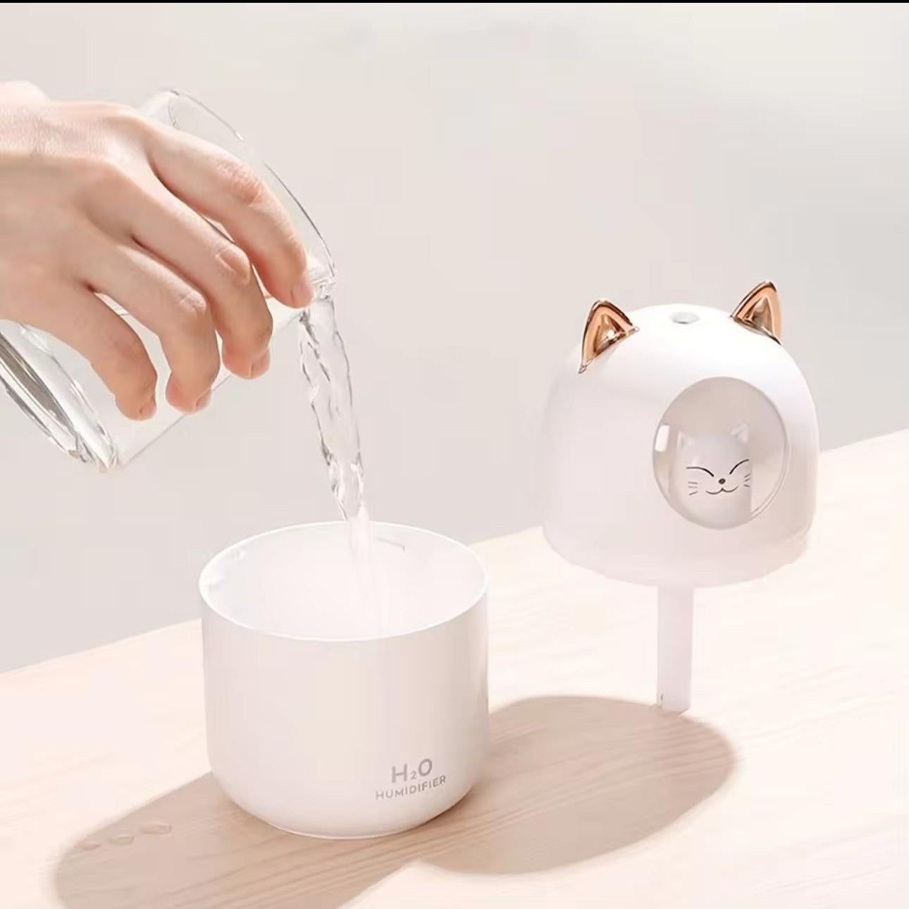 Kedi Kulaklı Nemlendirici
