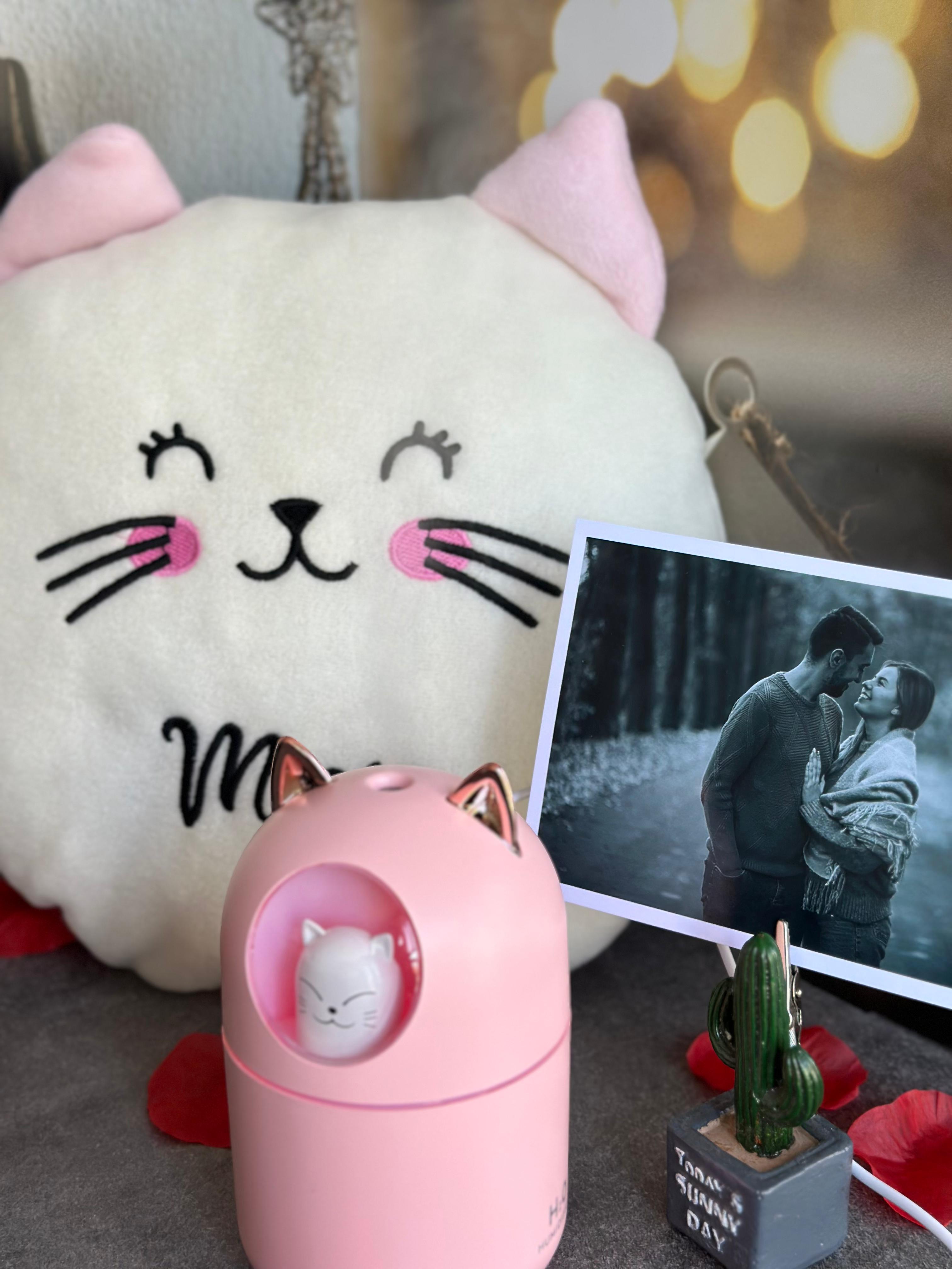 Kedi H20, Kişiye Özel Fotoğraf Seti ve Peluş Kedi Yastık Hediye Seti