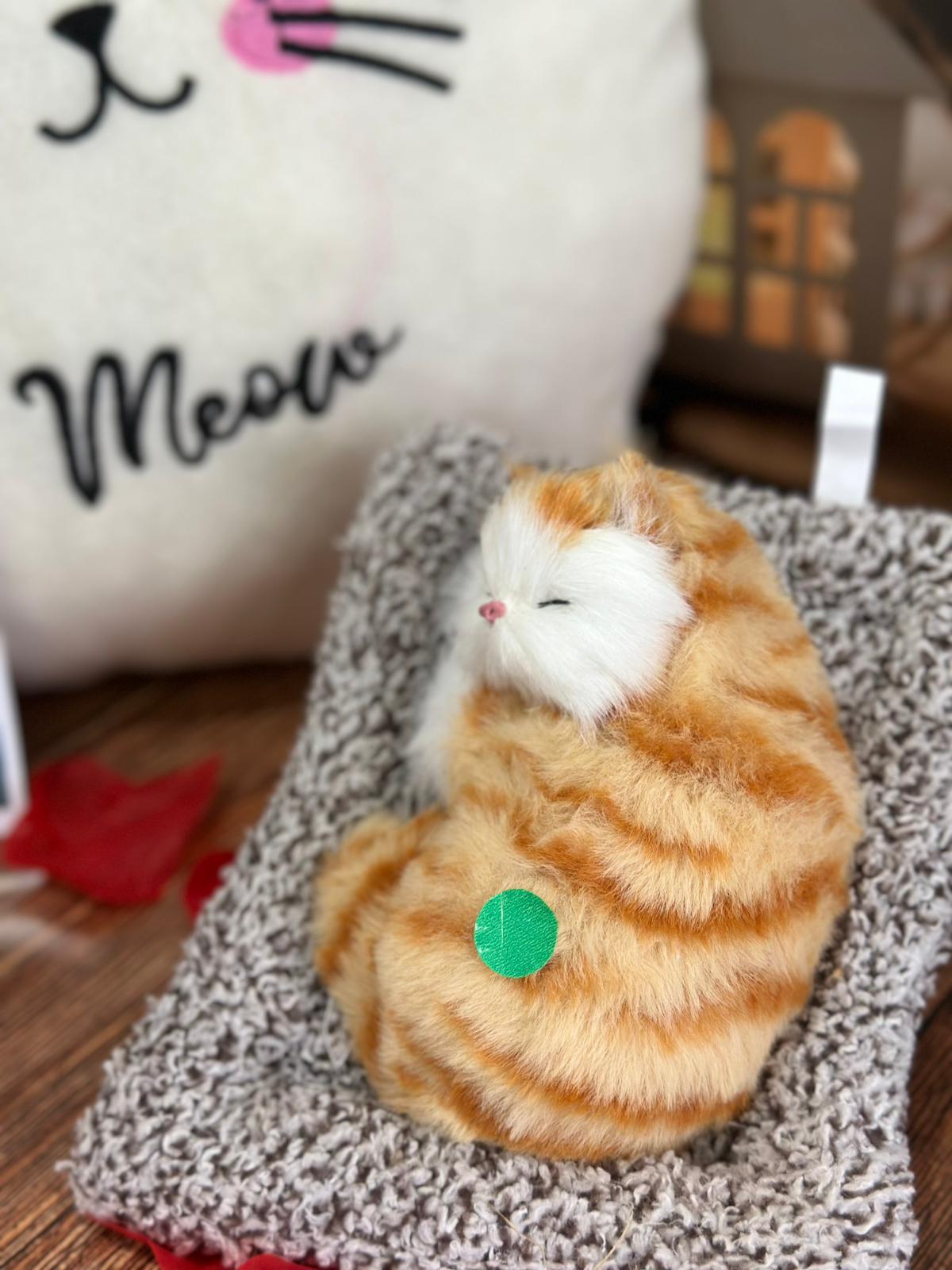 Arkadaşa Özel Hediye Seti Sesli Kedi Yastık